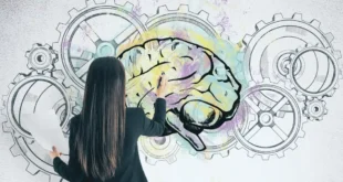 Bienfaits de la phosphatidylsérine pour les fonctions cérébrales