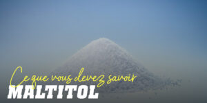 Maltitol : tout ce qu’il faut savoir