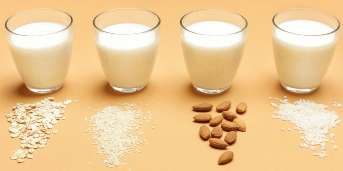 Boissons végétales Boissons végétales