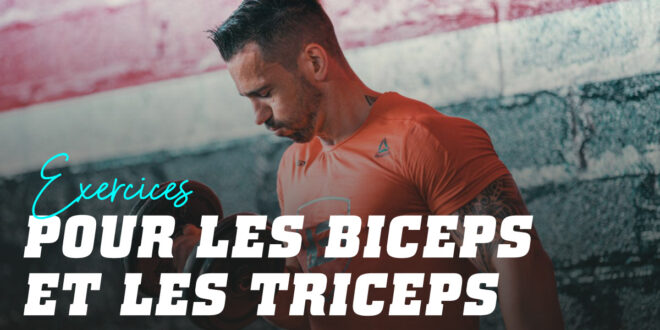 Exercices pour les Biceps et les Triceps