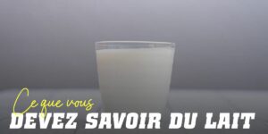 Lait : tout ce que vous devez savoir sur cet aliment