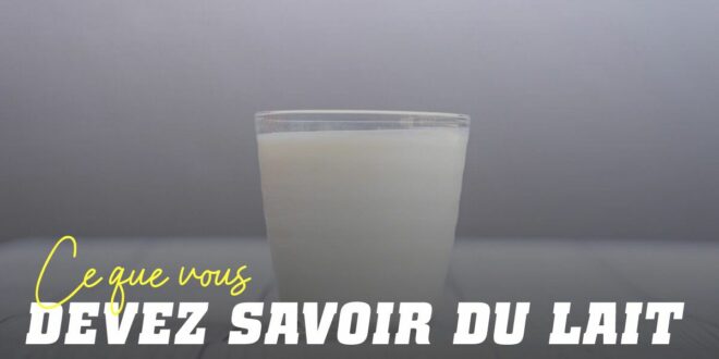 Lait : tout ce que vous devez savoir sur cet aliment Lait : tout ce que vous devez savoir sur cet aliment