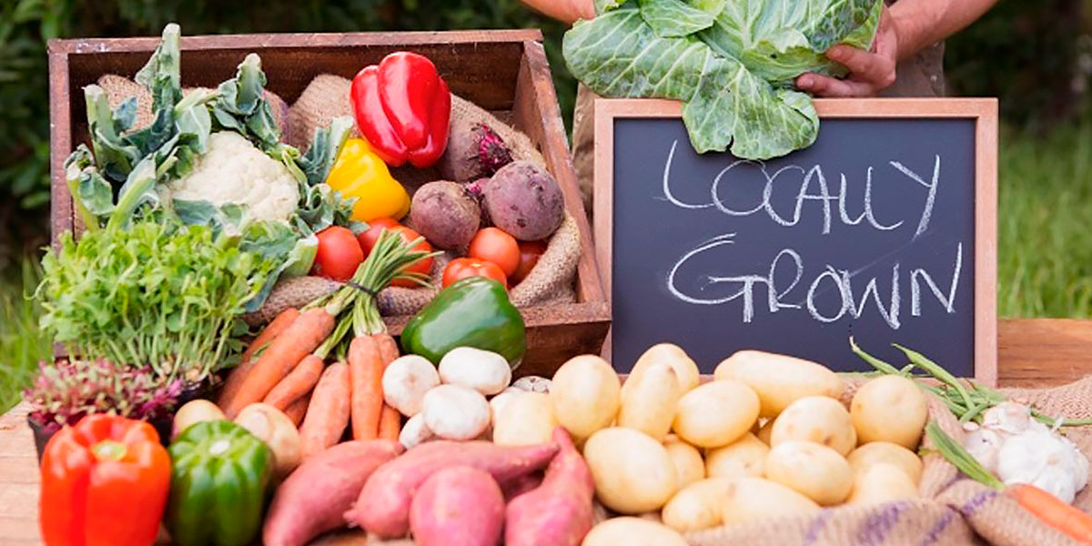 Produits locaux. Aliments Écologiques Biologiques Produits locaux. Aliments Écologiques Biologiques