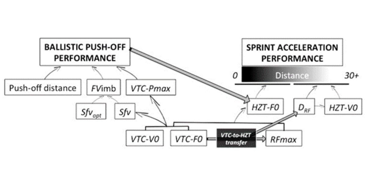 Profils de puissance-force-vitesse