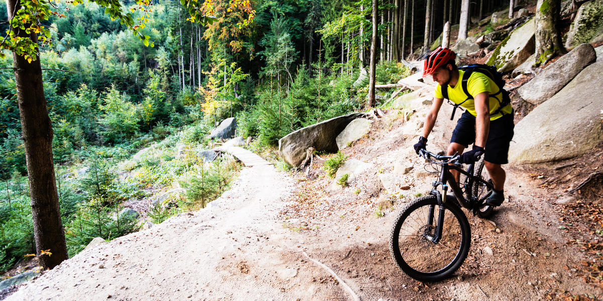VTT ou vélo de route, lequel est le mieux ?