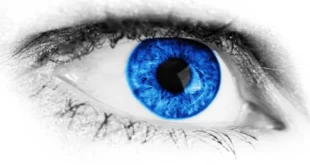 Zeaxanthine – Protège la santé de tes yeux