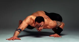 Lance-toi avec la routine d'entraînement Animal Flow !