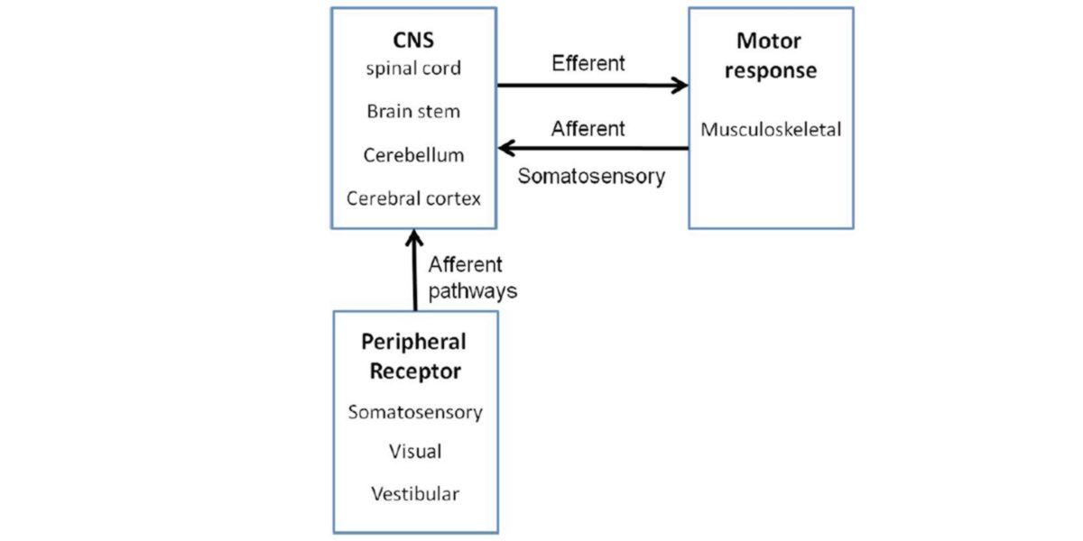 Mécanisme de contrôle de loop fermé