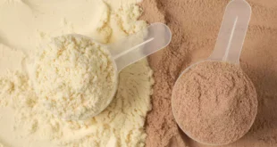 Différences entre la protéine de lactosérum isolée et concentrée