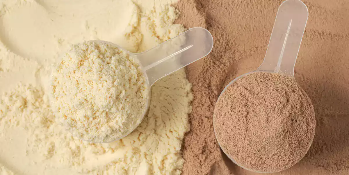 Différences entre la protéine de lactosérum isolée et concentrée