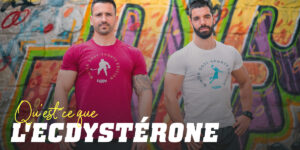 La bêta-ecdystérone et son rôle anabolique