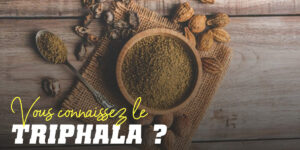 Triphala Découvrez Tous les Bénéfices de ce Mélange d'Herbes
