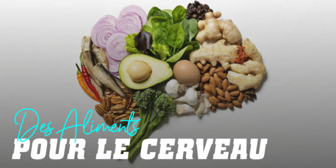 Comment les aliments influencent-ils le cerveau ?