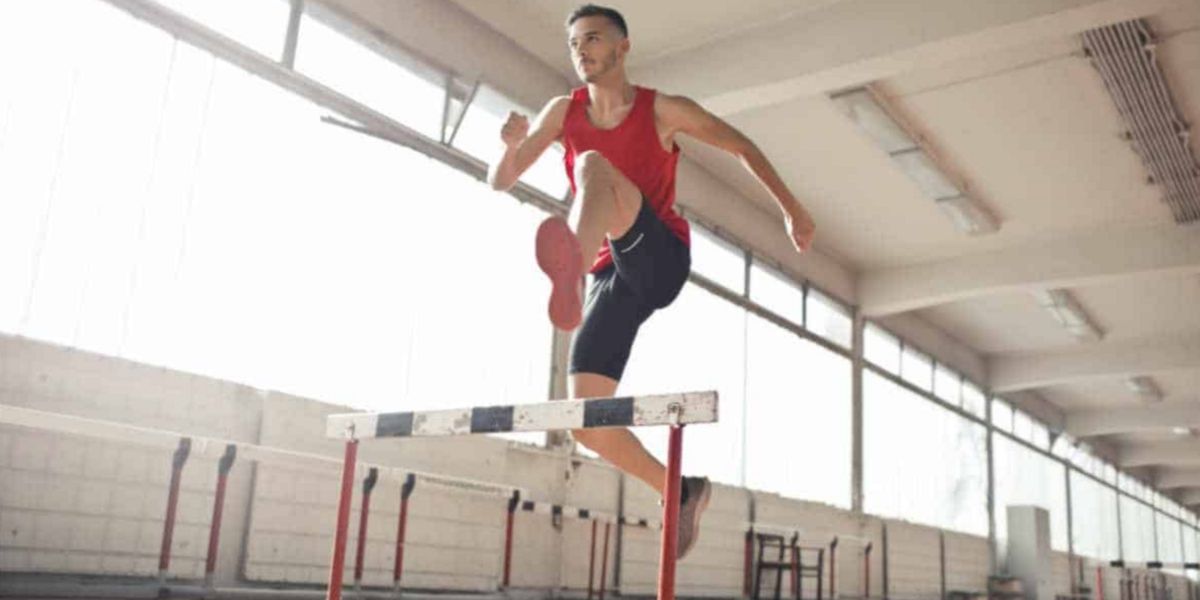 Les zones de formation