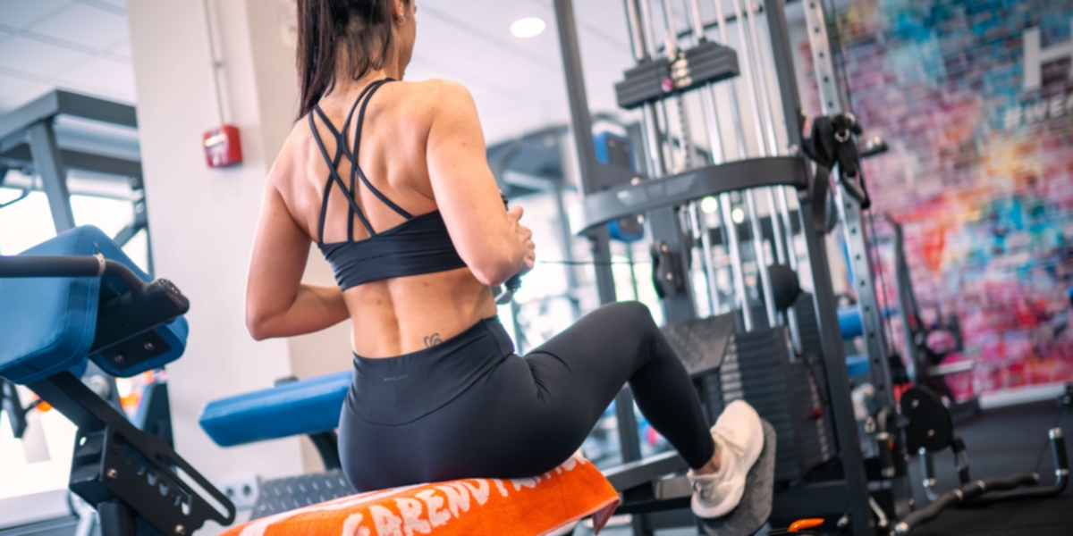 Performances de la formation