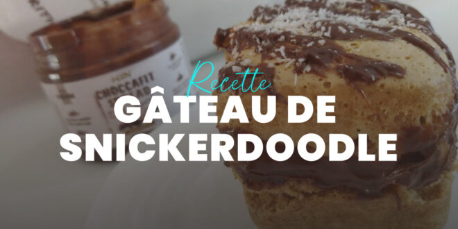 Gâteau Snickerdoodle Gâteau Snickerdoodle
