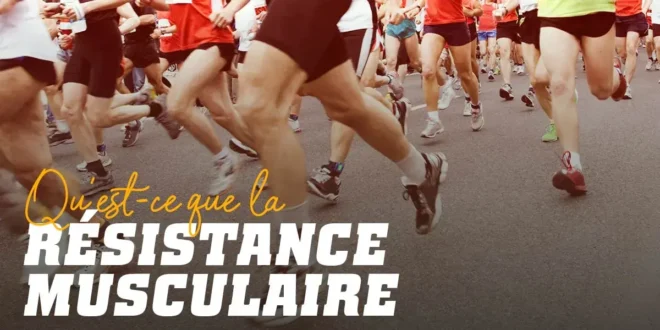 Tout ce que vous devez savoir sur l’Endurance Musculaire Tout ce que vous devez savoir sur l’Endurance Musculaire