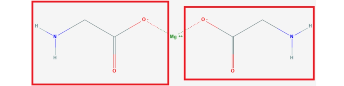 Représentation du bisglycinate de magnésium