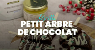 petit arbre de chocolat