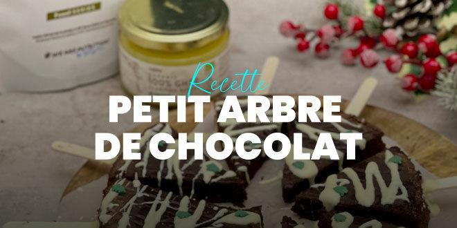 Petit Arbre de Chocolat pour Noël Petit Arbre de Chocolat pour Noël
