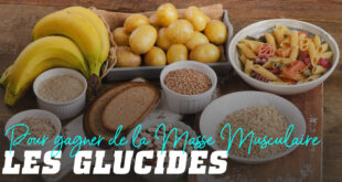 Glucides pour Prendre de la Masse Musculaire