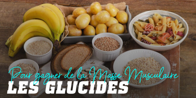 Glucides pour Prendre de la Masse Musculaire