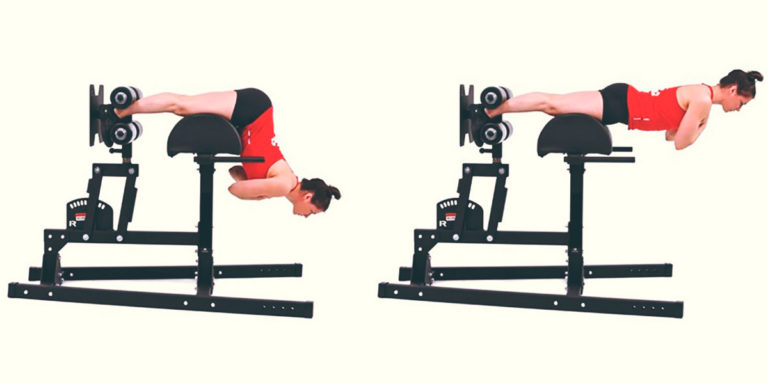 Extension de la hanche Squats Extension de la hanche Squats