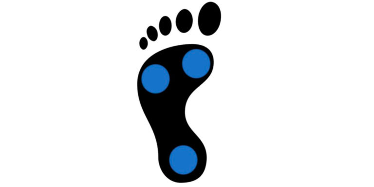 Voûte plantaire Voûte plantaire