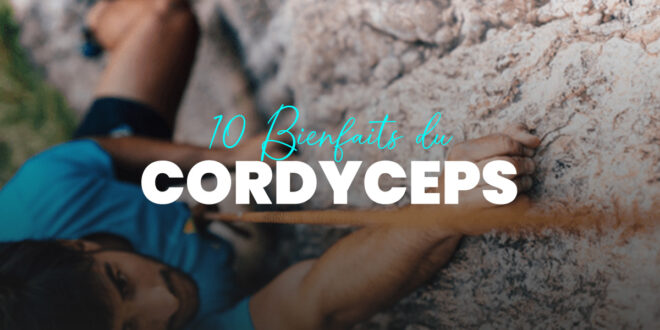 10 bienfaits du Cordyceps qui vont t’intéresser 10 bienfaits du Cordyceps qui vont t’intéresser