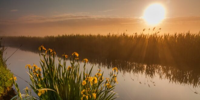 Exposition au Soleil – Découvrez ses Avantages pour la Santé