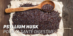 Psyllium Husk – Améliore ta santé digestive !