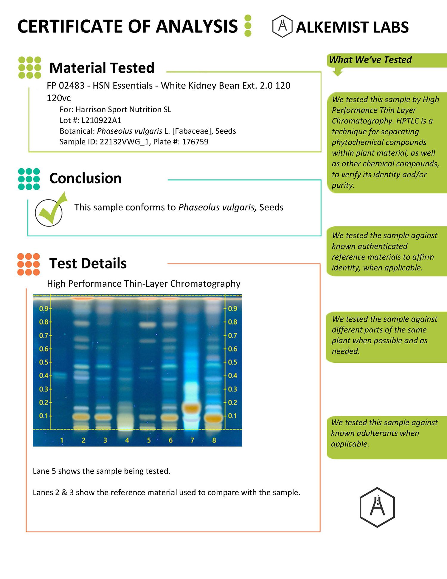 Certificat d'Analyse de l'Extrait d'Haricot Blanc EssentialSeries