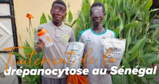 Drépanocytose senegal