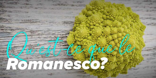 Romanesco : sa définition, ses propriétés et comment le consommer