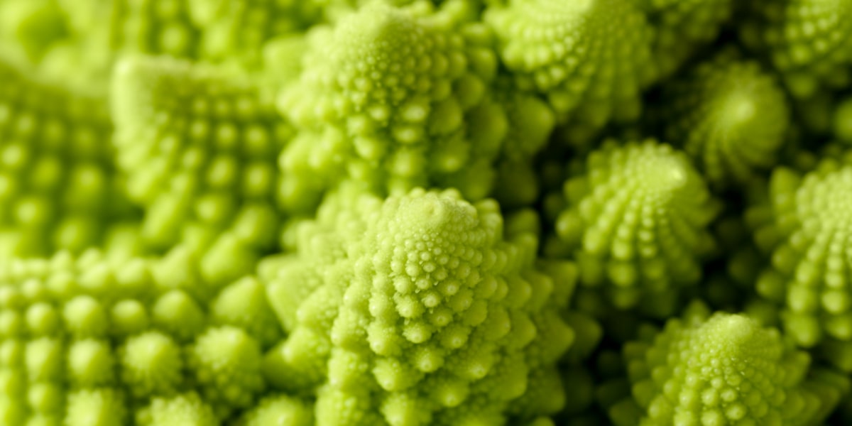 Propriétés du chou romanesco