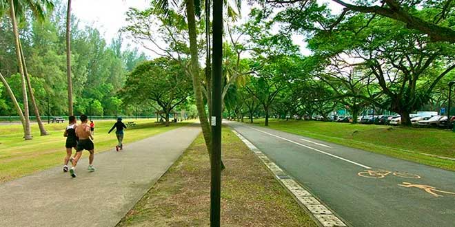 Les facteurs sociaux sédentarité