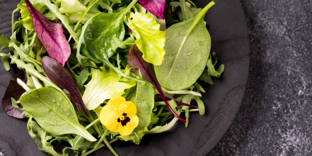 Les légumes à feuille verte