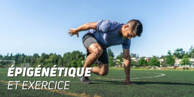Épigénétique et exercice : une amitié nécessaire
