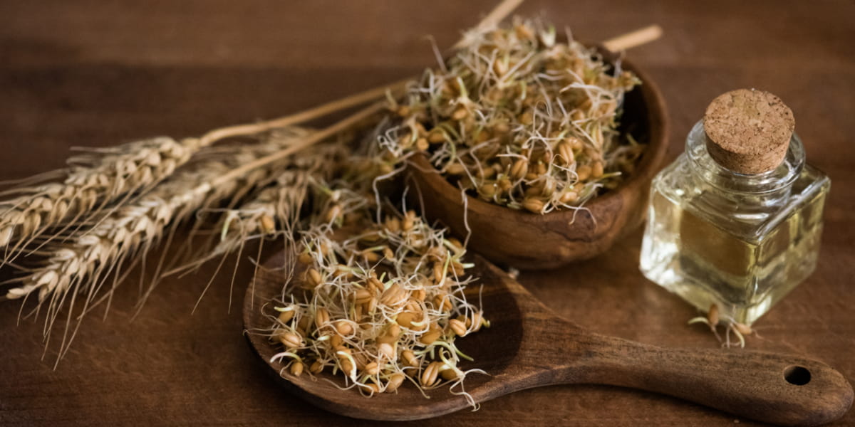 Spermidine et Germe de Blé