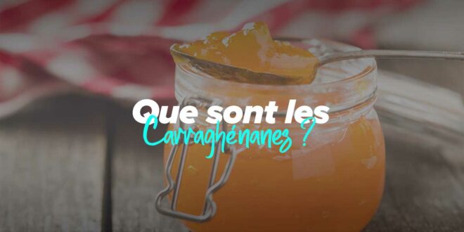 Qu’est-ce que les carraghénanes ? Qu’est-ce que les carraghénanes ?
