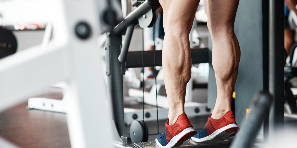 Suppléments en créatine et glutamine