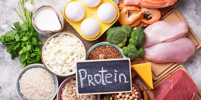 Quelle est la quantité optimale de protéine pour gagner du muscle ? Quelle est la quantité optimale de protéine pour gagner du muscle ?
