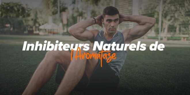 Inhibiteurs naturels de l’aromatase Inhibiteurs naturels de l’aromatase
