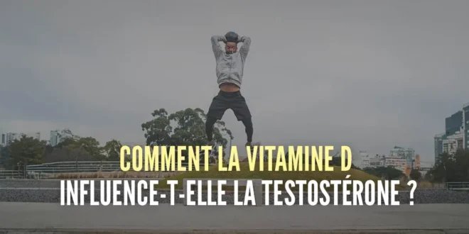 La vitamine D augmente-t-elle la testostérone ?