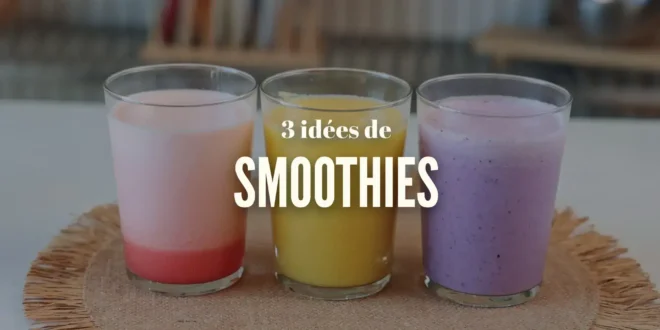 L&rsquo;Été a Meilleur Goût : 3 Smoothies Nutritifs par HSN