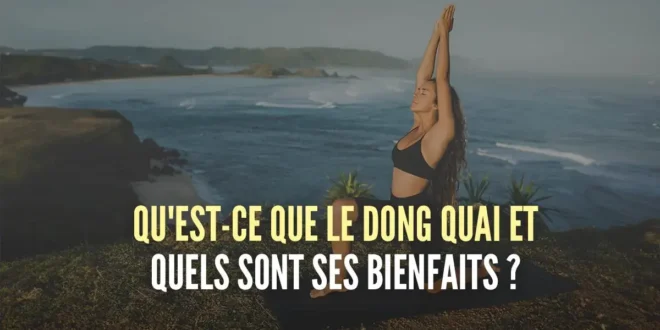 Qu&rsquo;est-ce que le Dong Quai et quels sont ses bienfaits ?