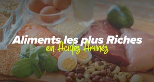 aliments-les-plus-riches-en-acides-amines