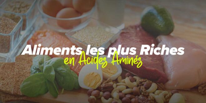 Aliments les plus riches en acides aminés