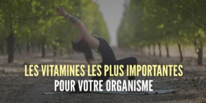 les-plus-importantes-pour-l-organisme