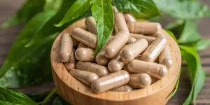 Comment interpréter l’étiquette d’un complément d’extrait de plantes